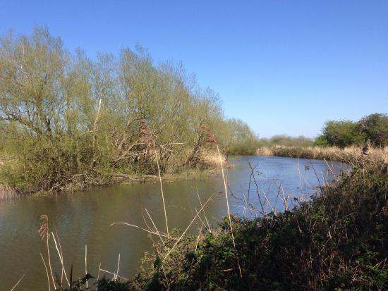 Stodmarsh National Nature Reserve