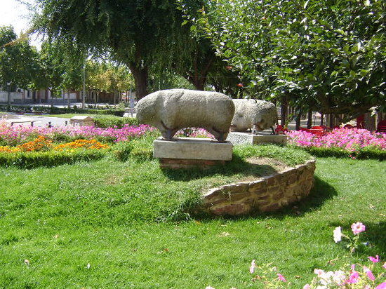 Verracos de Coca
