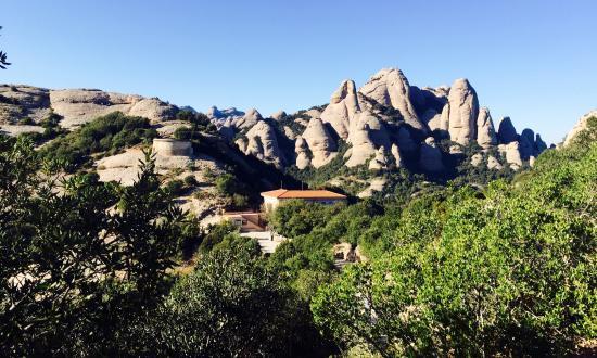 Rabbies to Montserrat