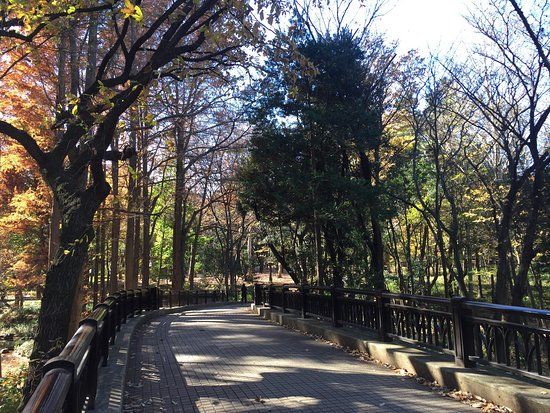 Rinshinomori-park