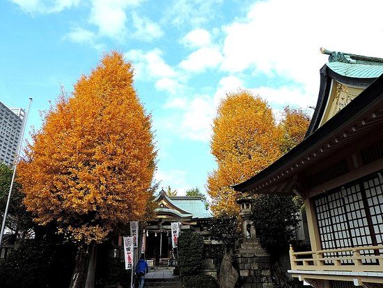 Shirahige Tapınağı