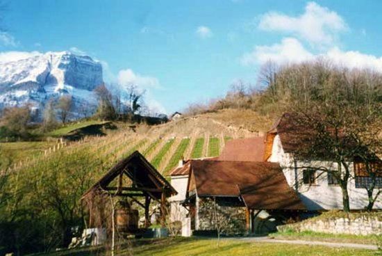 Moulin à Papier de la Tourne