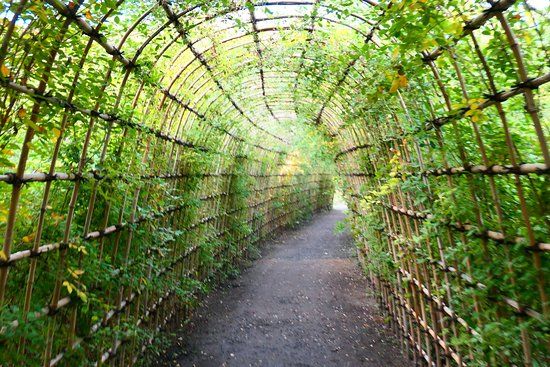 Mukojima-Hyakkaen Garden