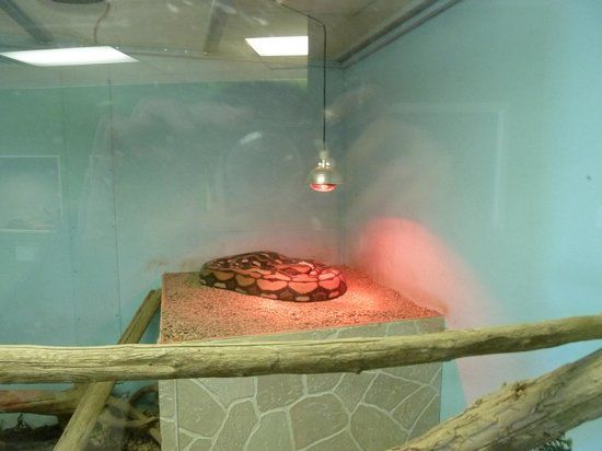 Maritime Reptile Zoo Limited