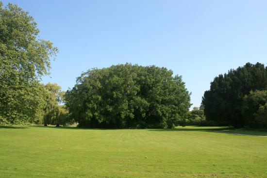 Brattingsborg Slotspark