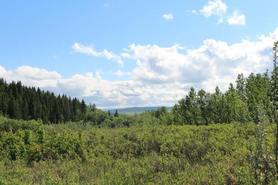 Cochrane Ranche Park