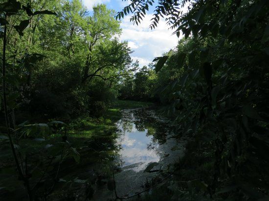 Parc-nature du Bois-de-Liesse