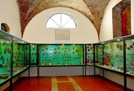 Museo dei Fossili "Pierluigi Malinverni"