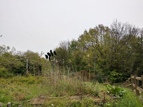 Réserve naturelle Gillespie Park and Ecology Centre