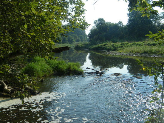 Brant Conservation Area