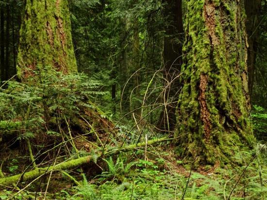 John Dean Provincial Park