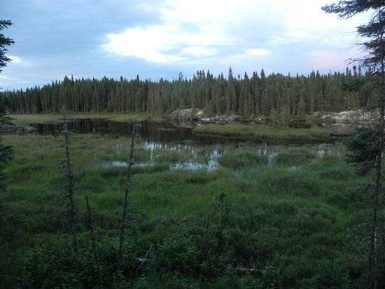 Chapleau Crown Game Preserve