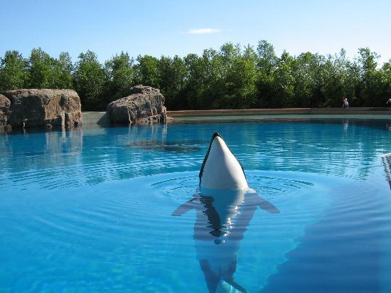 Marineland