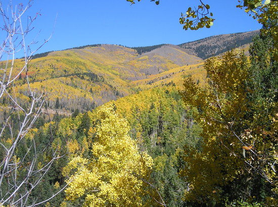 Hyde Memorial State Park