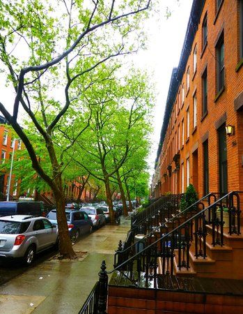 Carroll Gardens Neighborhood