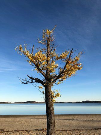Marine Park