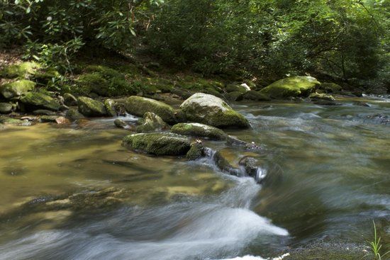 Wilson Creek