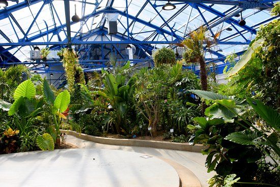 Insectarium and Butterfly Pavilion