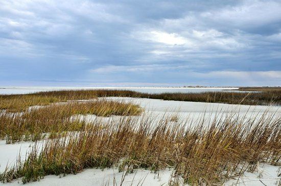 Mitchelville Freedom Park