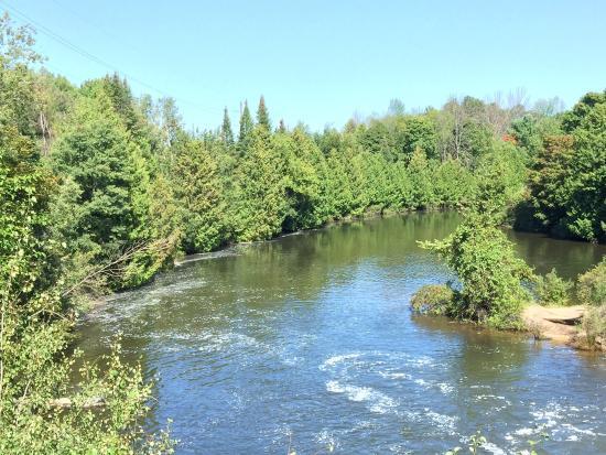 Grand Traverse Natural Education Reserve