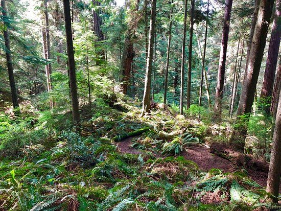 South Whidbey State Park