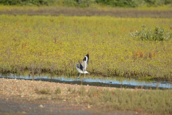 Big Reef Nature Park