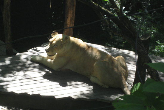 Cincinnati Zoo & Botanical Garden