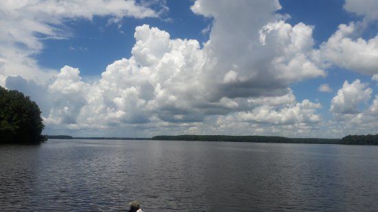 Lake Talquin State Forest