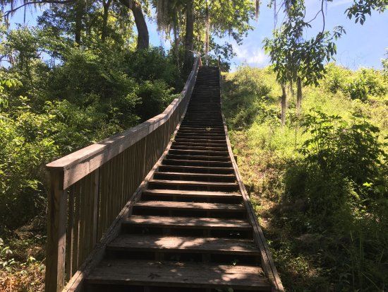 Lake Jackson Mounds Archaeological State Park