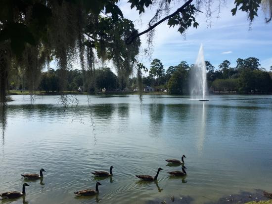 Lake Ella & Fred Drake Park