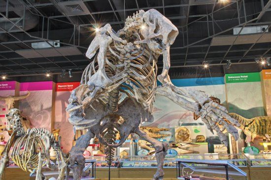 Mississippi Museum of Natural Science