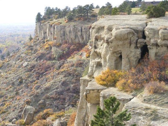 The Rimrocks