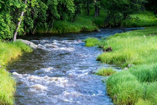 Grace Coolidge Creek