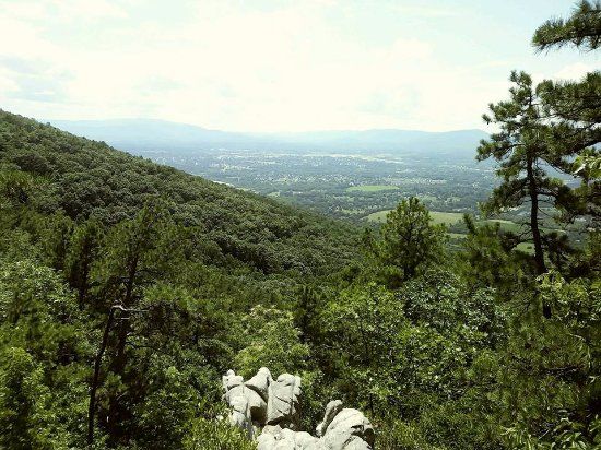 Read Mountain Preserve