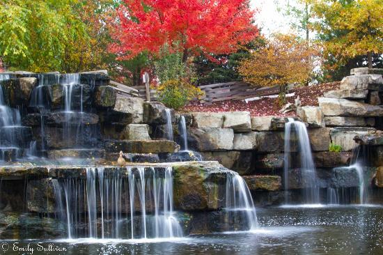 Bay Beach Wildlife Sanctuary