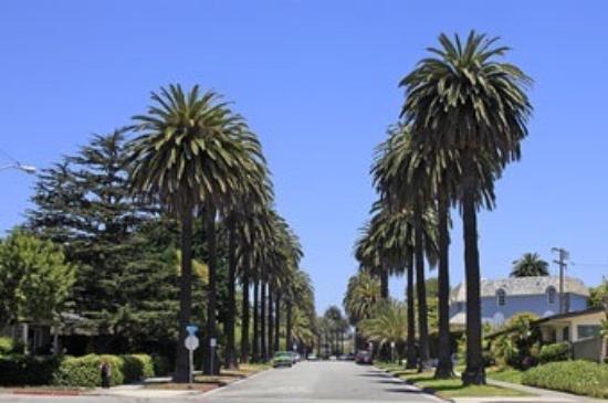Montana Avenue Branch Library