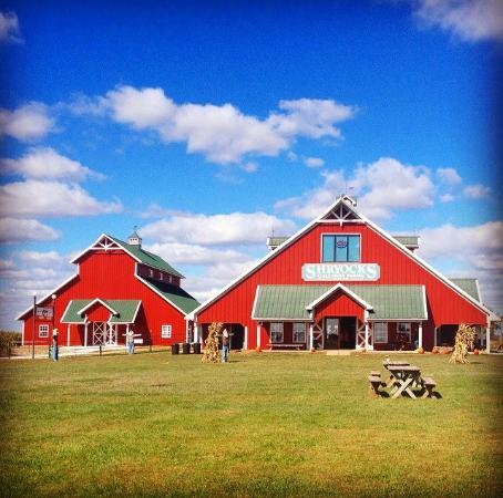 Shryocks Callaway Farms