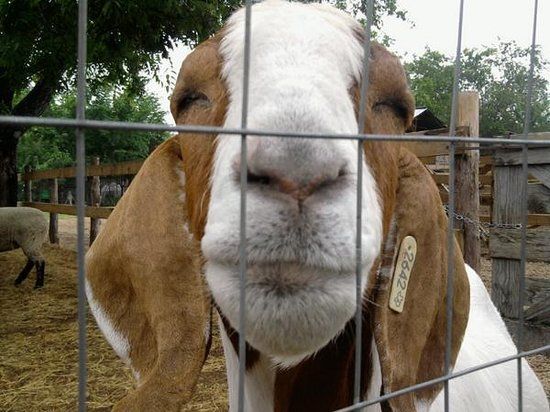 Heritage Farmstead Museum