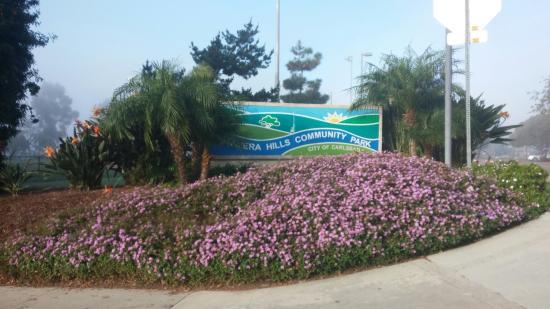 Calavera Hills Community Park