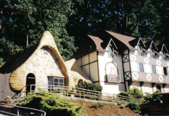Enchanted Forest