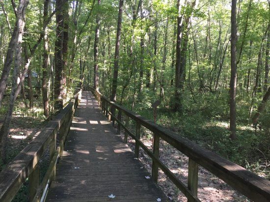Cypress Grove Nature Park