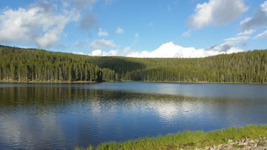 Tongue Ranger District and Forest Supervisor's Office