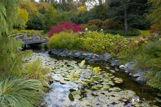 Klehm Arboretum & Botanic Gardens