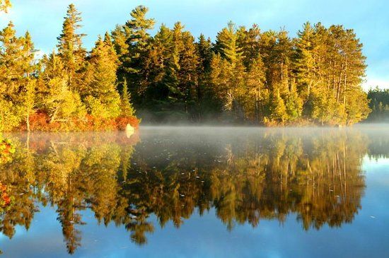 Prong Pond