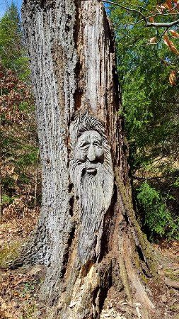 West Virginia Botanic Garden