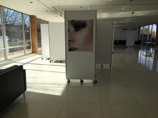 Krannert Sanat Müzesi