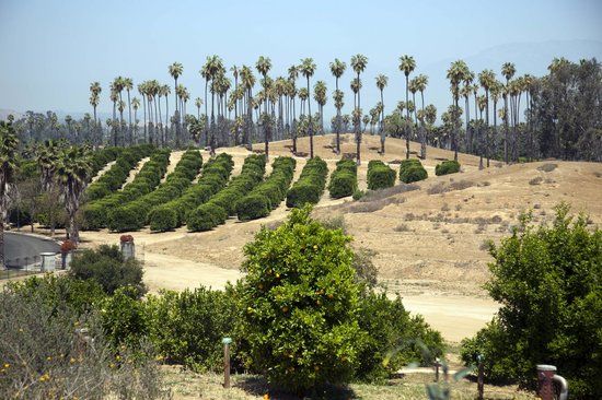 California Citrus State Historic Park