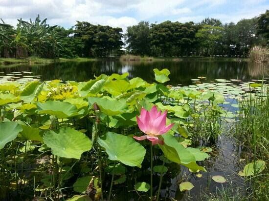 Palma Sola Botanical Park