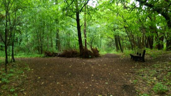 Fenner Nature Center