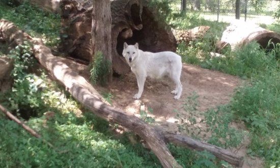 Baraboo City Ochsner Park